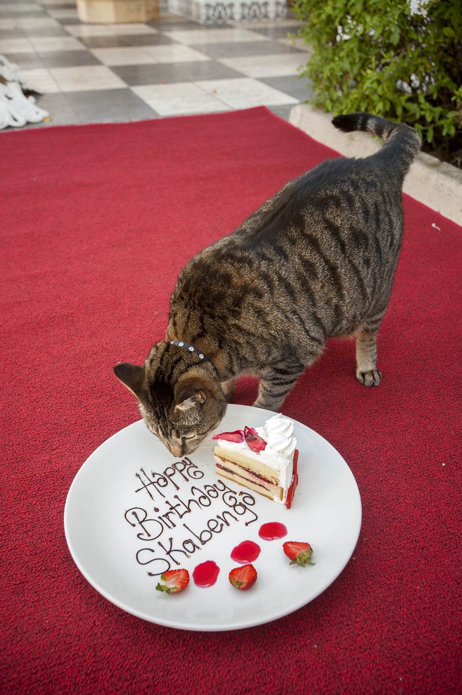 OB_Skabenga Birthday