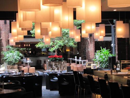 Fugu Wembley Square Review