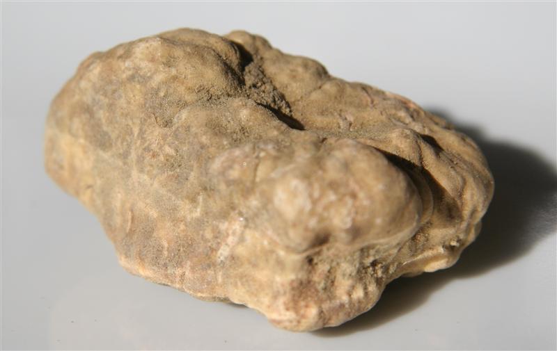 1299759186-whitetruffle whitetruffle