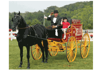 Jell-O-Wagon Jell-O-Wagon