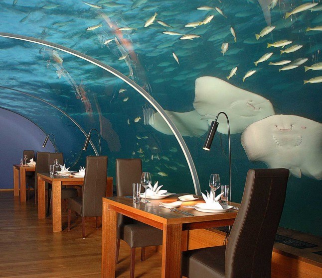 underwater restaurant