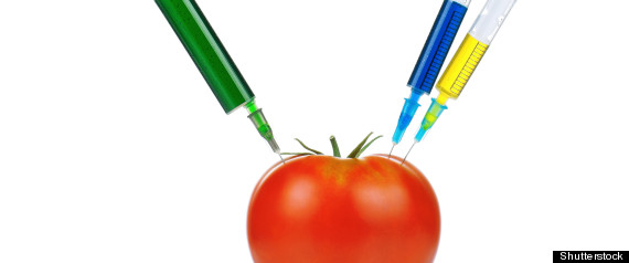 GMO Labelling GMO Labelling