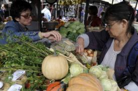 organic food organic food