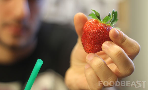 How-to-eat-strawberries How-to-eat-strawberries