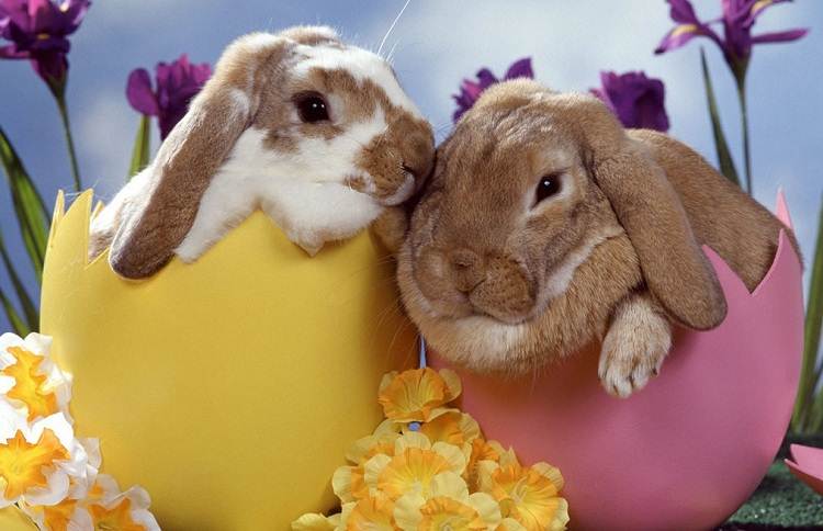 Cape Town Easter Lunch 2025