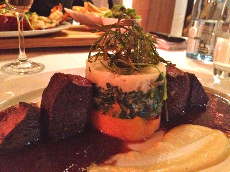 Springbok Saddle Medallions