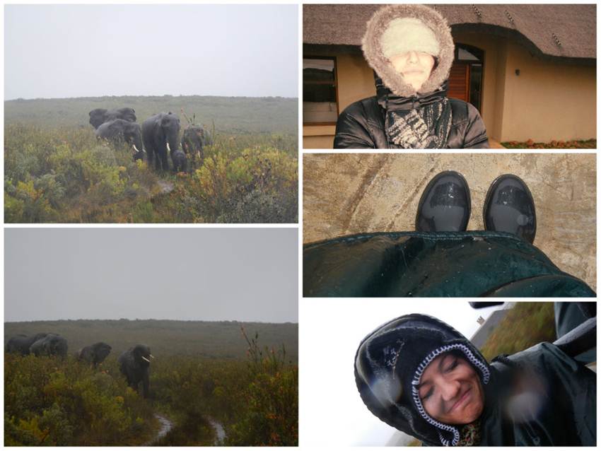 Gondwana Game Reserve Game Drive