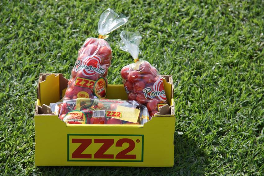 ZZ2 Speciality Tomatoes