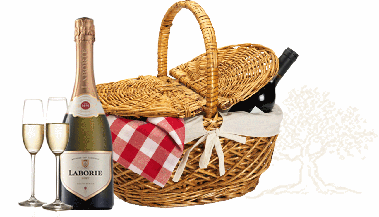 Picnic in the Cape Winelands