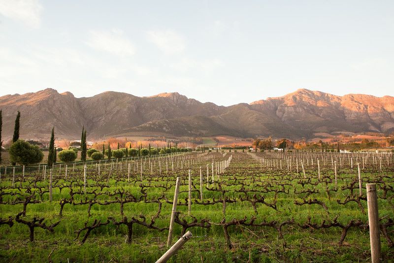 Feast of Sauvignon Blanc at Wine and Dine Collaboration at Grande Provence