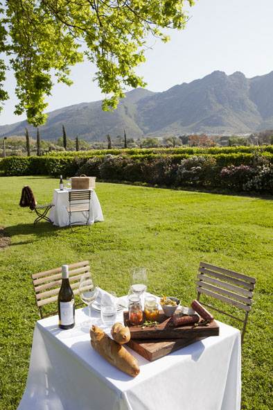 Grande Provence Picnic Portrait LR