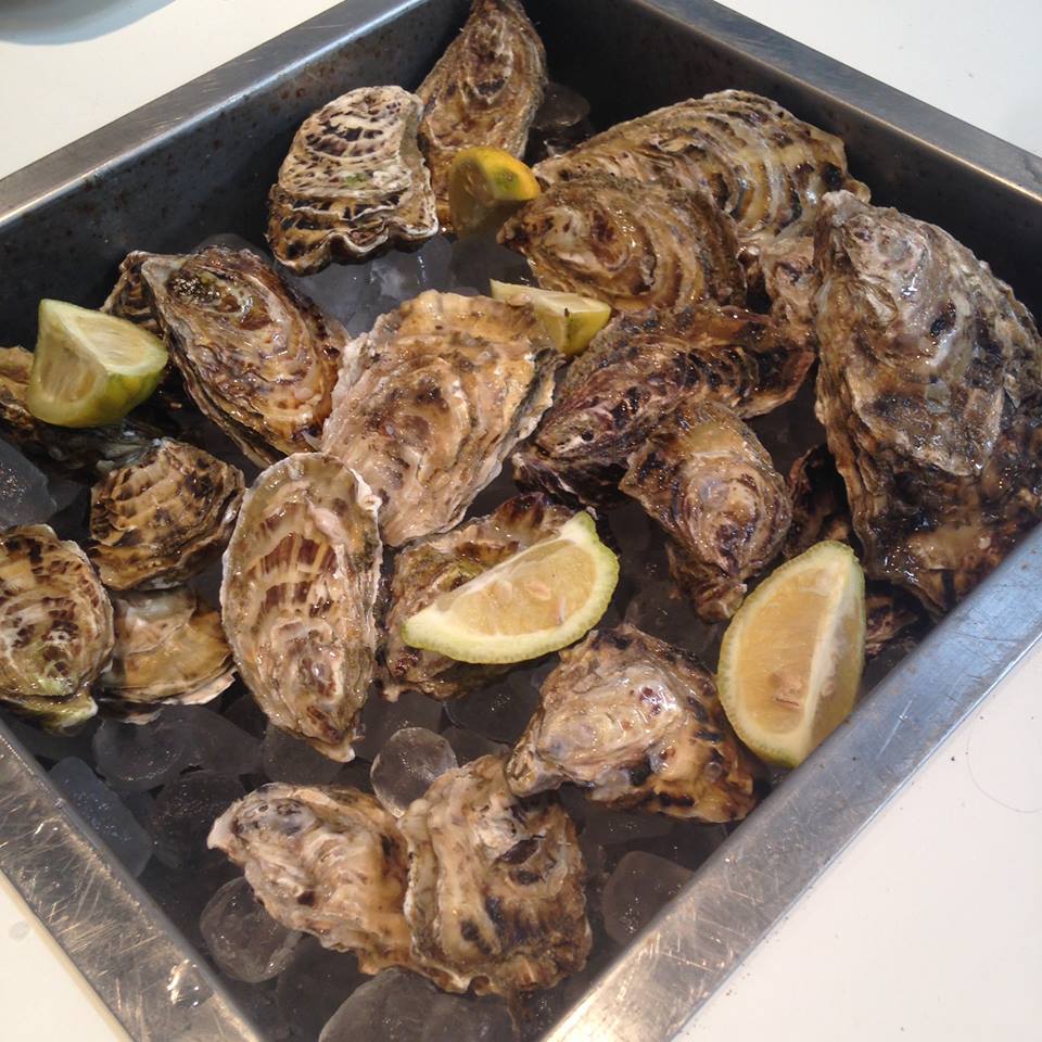 10370805_879238702150405_6503272606006759865_n