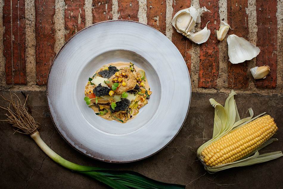 Crocodile (Low Res) (2)