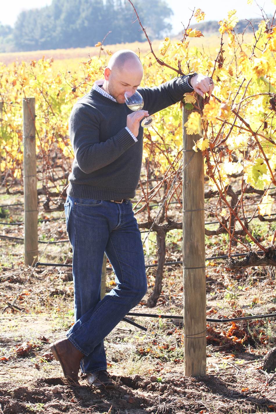 Eikendal Winemaker Nico Grobler outside HR (4)