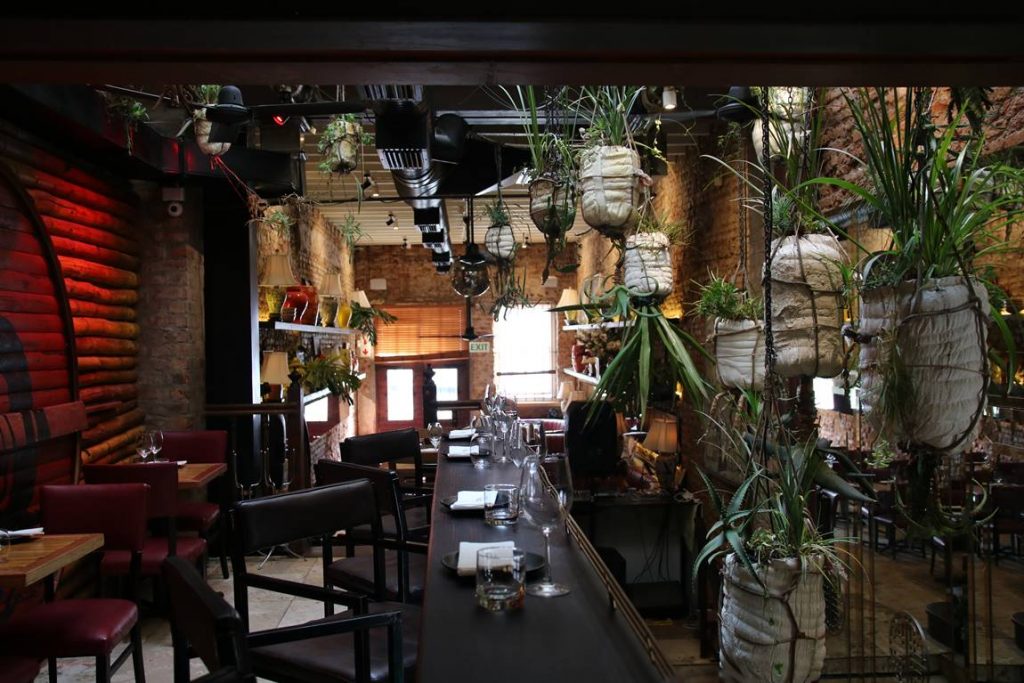 beautiful bar with plants in cape town