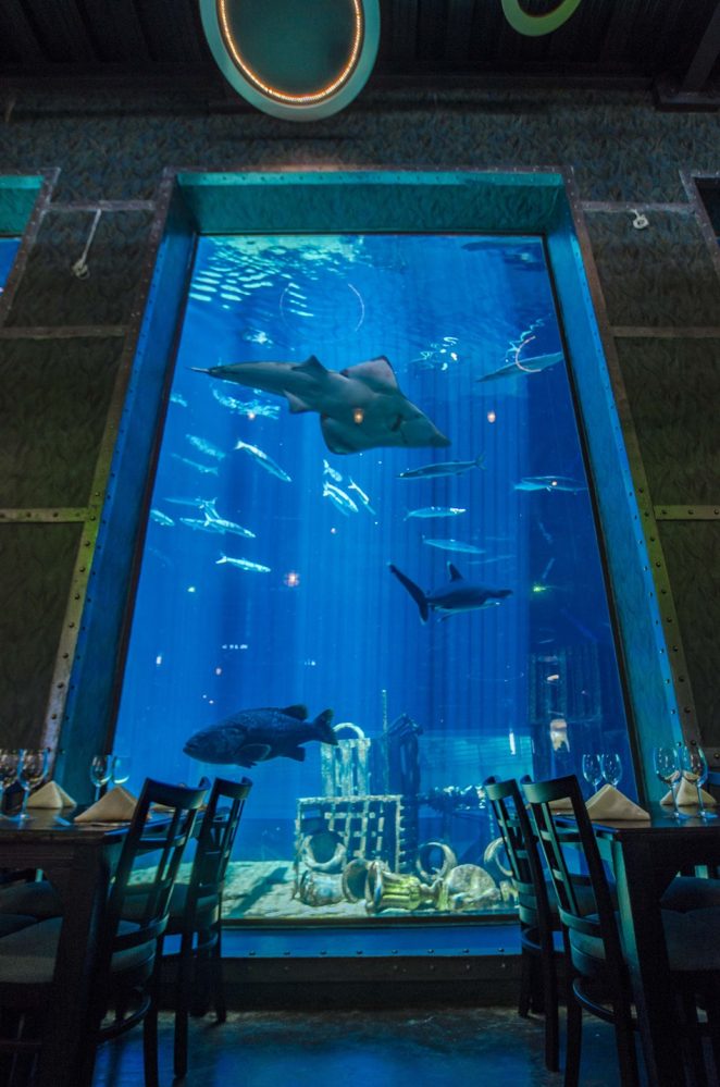 Cargo Hold Restaurant at uShaka Marine World