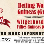 Joburg Prawn Festival 2015