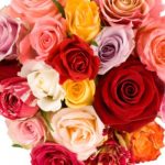 Valentines Day Dinner Pretoria 2023