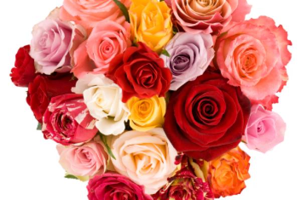 Valentines Day Dinner Pretoria 2023