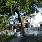 Rhebokskloof Restaurant