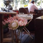 The Revolution Restaurant