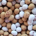 Matt Manning One Ingredient Egg Dinner