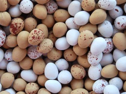 Matt Manning One Ingredient Egg Dinner