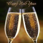 New Years Eve Dinner in the Cape Winelands