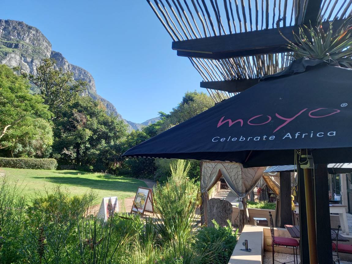 5 Ways to celebrate Father's Day at moyo Kirstenbosch