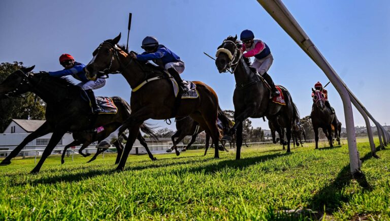Heritage Day Weekend: A proudly South African day out at Hollywoodbets Durbanville